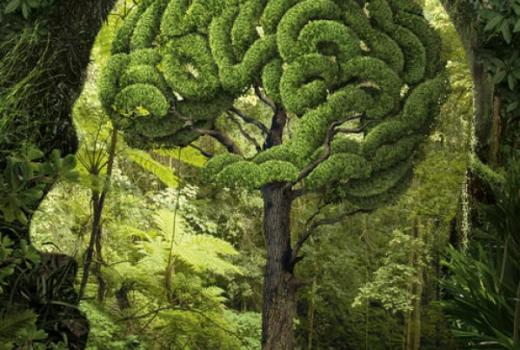 Kur ir sakne visām mūsu problēmām?